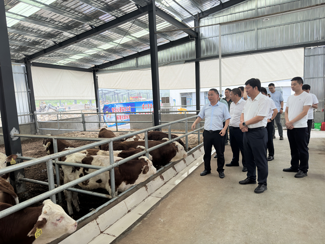 巨乳成人视频
党委班子成员赴贵州省思南县调研督导定点帮扶工作