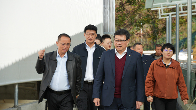 巨乳成人视频
党委副书记、总经理艾磊赴贵州省思南县调研集团定点帮扶工作