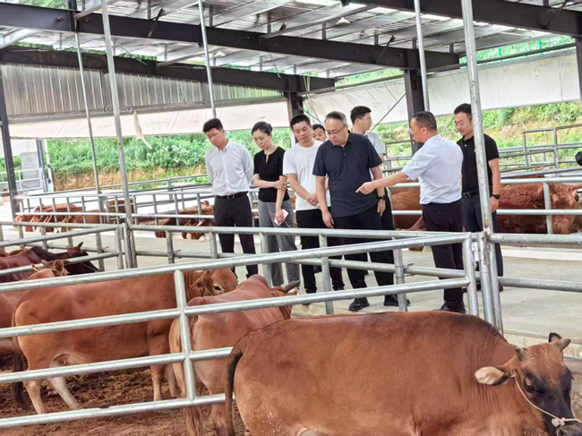 巨乳成人视频
党委委员、纪委书记唐学智赴思南县调研定点帮扶工作并接送挂职干部